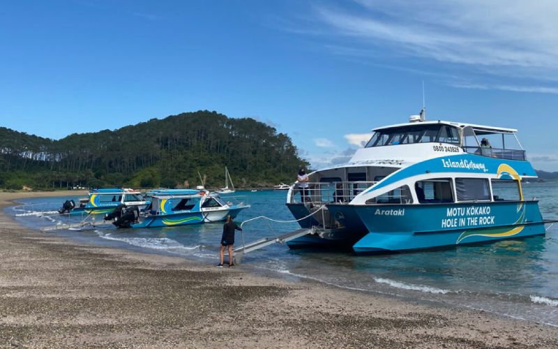 Island Getaway Bay of Islands